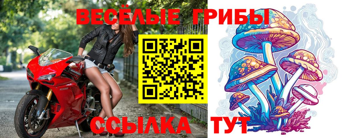 Псилоцибиновые грибы мухоморы Переславль-Залесский