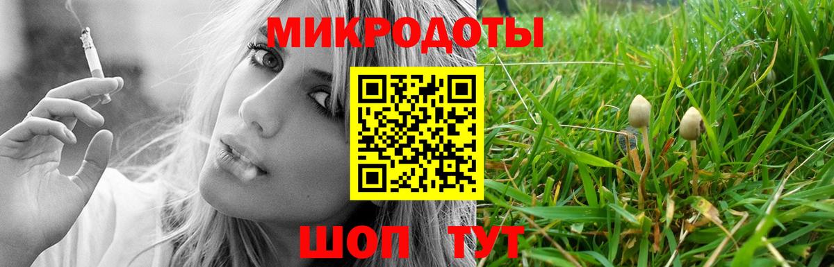 Галлюциногенные грибы мицелий  Псилоцибиновые грибы Psilocybe  Переславль-Залесский  Вход с VPN 
